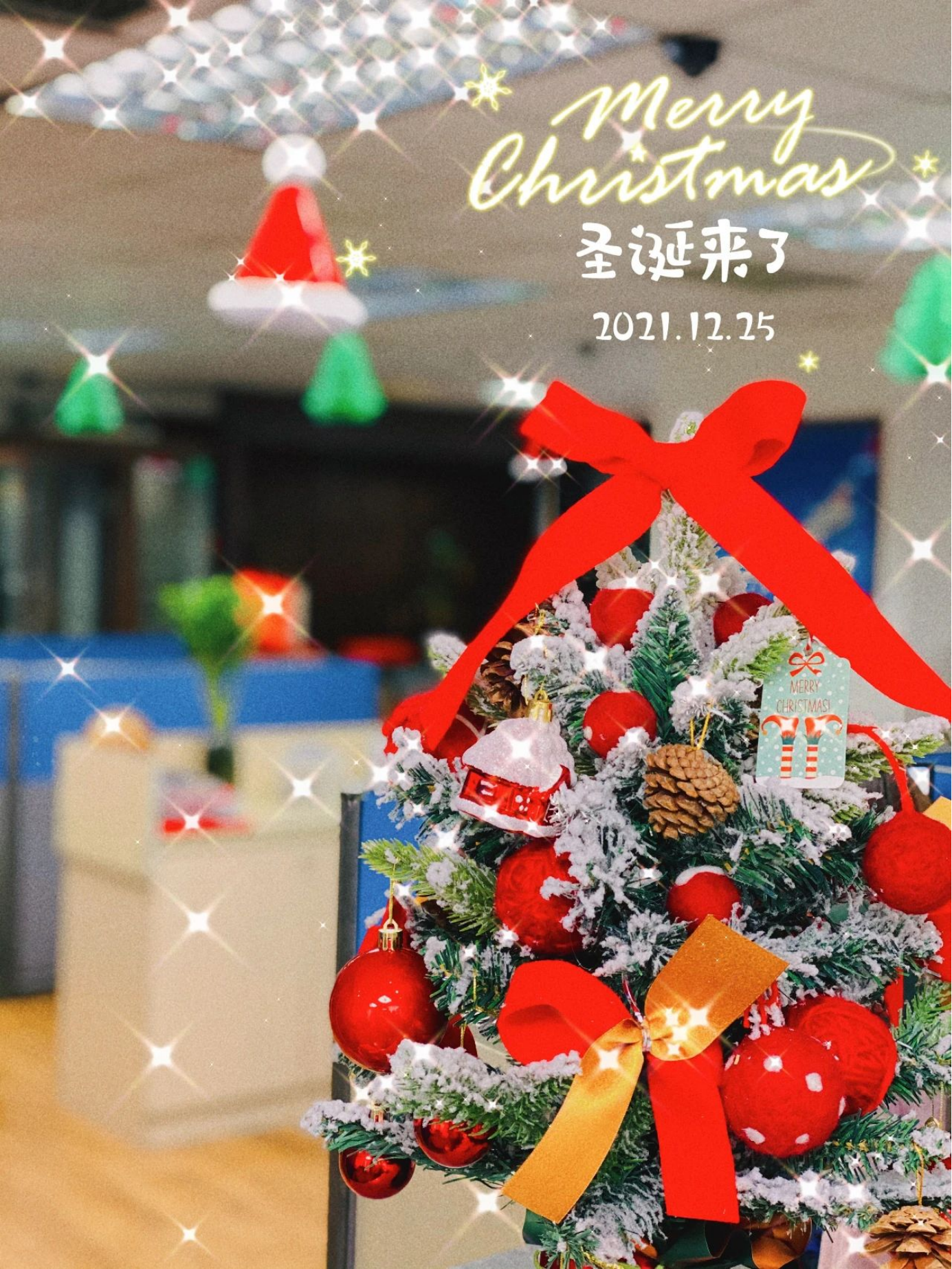 United Marine Logisitcs丨Merry Christmas~(图2)